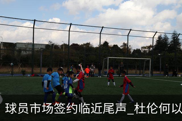 球员市场签约临近尾声 杜伦何以成为夏窗头号剩男？